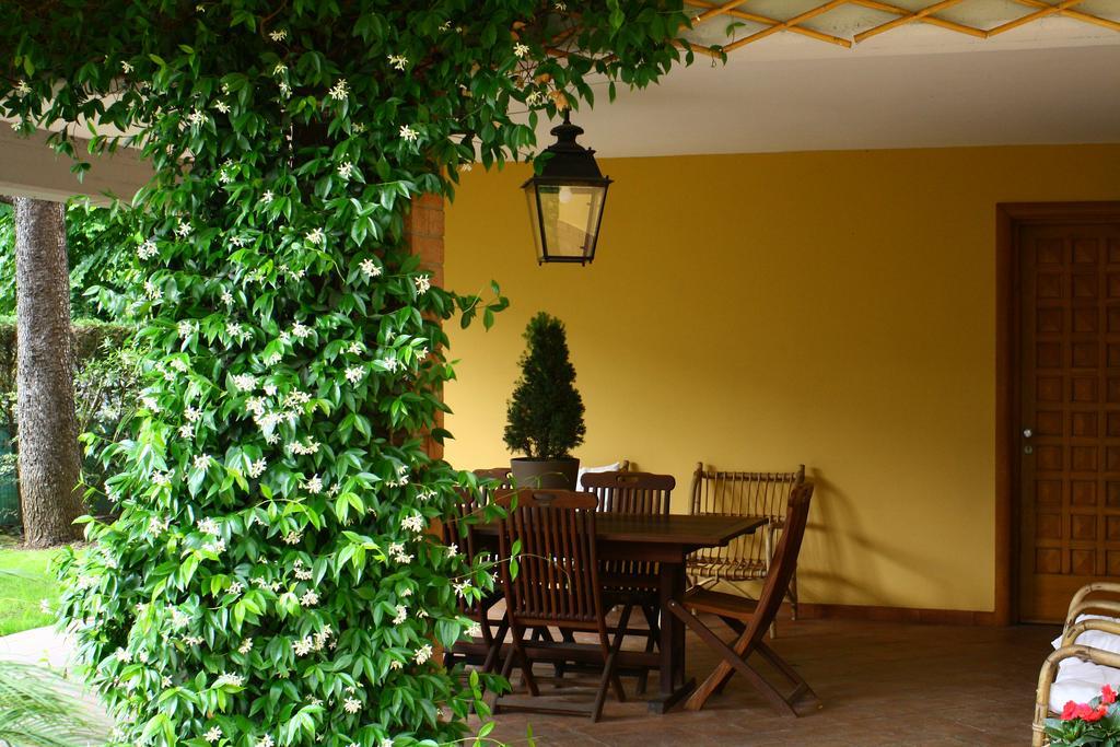 B&B Igea 50 Modena Esterno foto